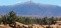 timber stack at the base of mount mansfield in vermont
