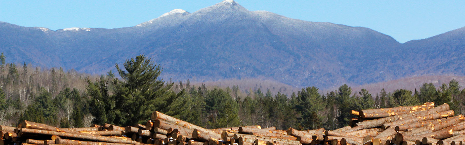 timber stack at the base of mount mansfield in vermont