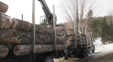top-quality maple logs on a truck in corinth vt