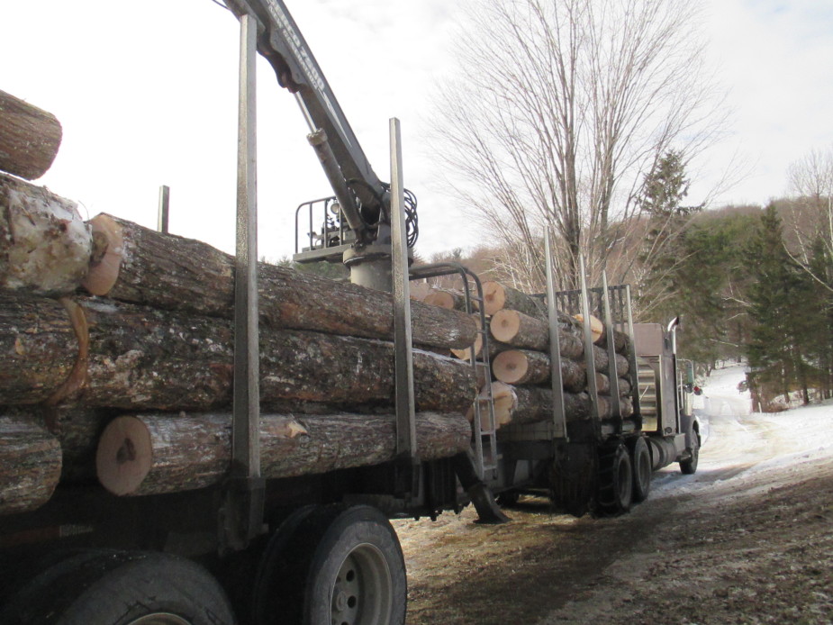 top-quality maple logs on a truck in corinth vt