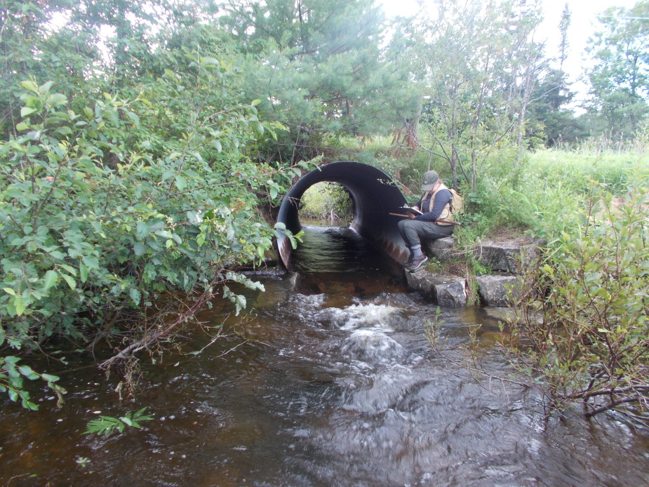 an undersized culvert on the wells river